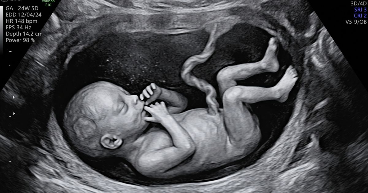 quantas vezes o bebê deve mexer na barriga por dia